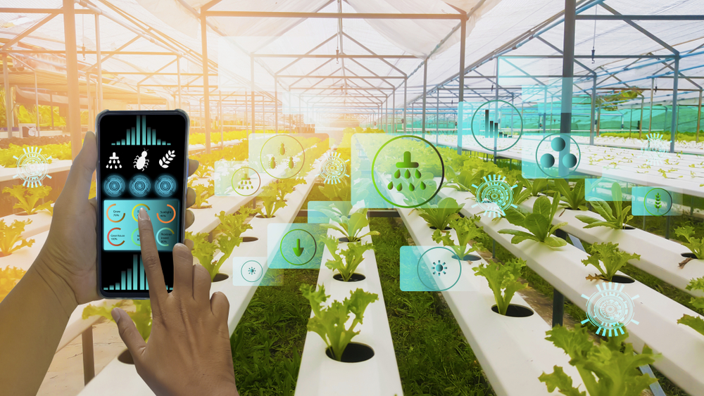 Practical Applications of Virtual and Augmented Reality in Business and Society: Smart Agrofood Systems